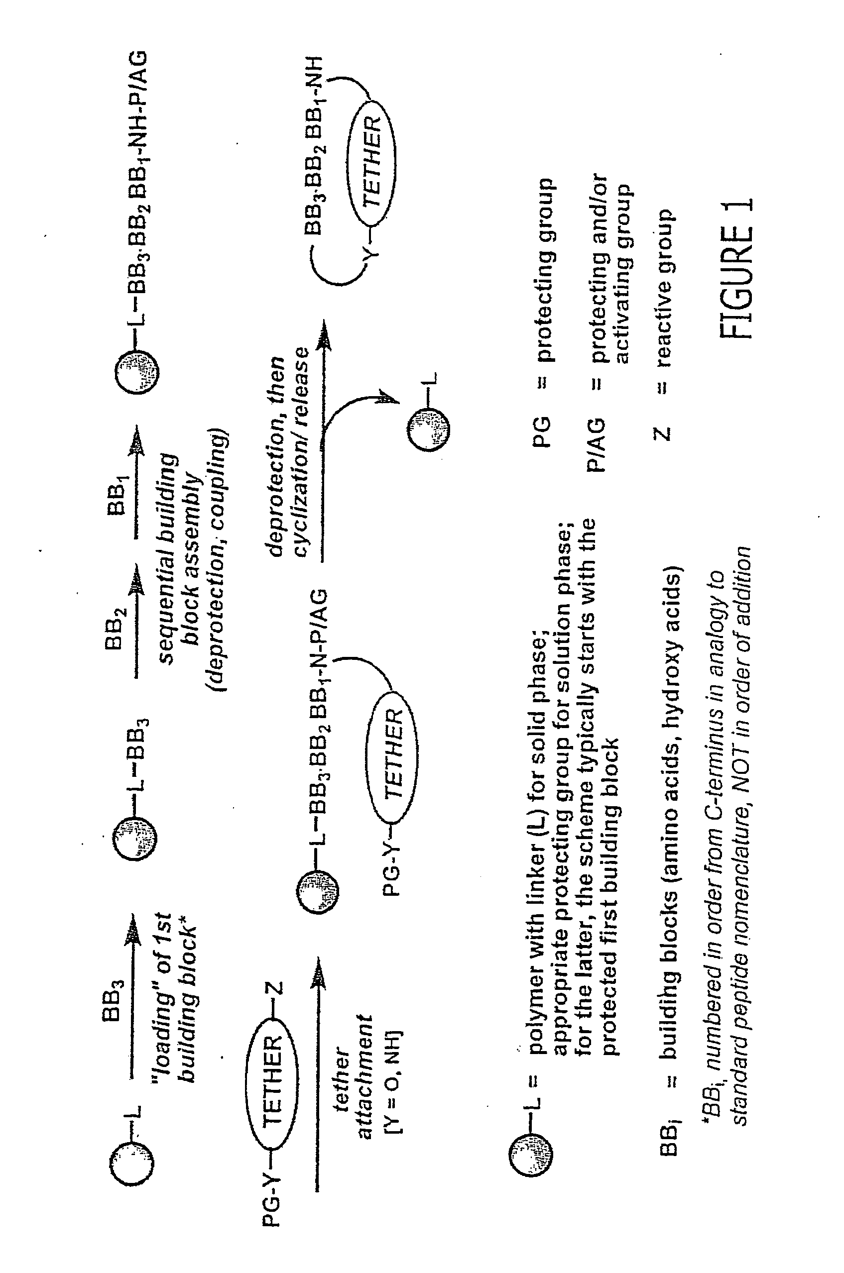 Macrocyclic modulators of the ghrelin receptor