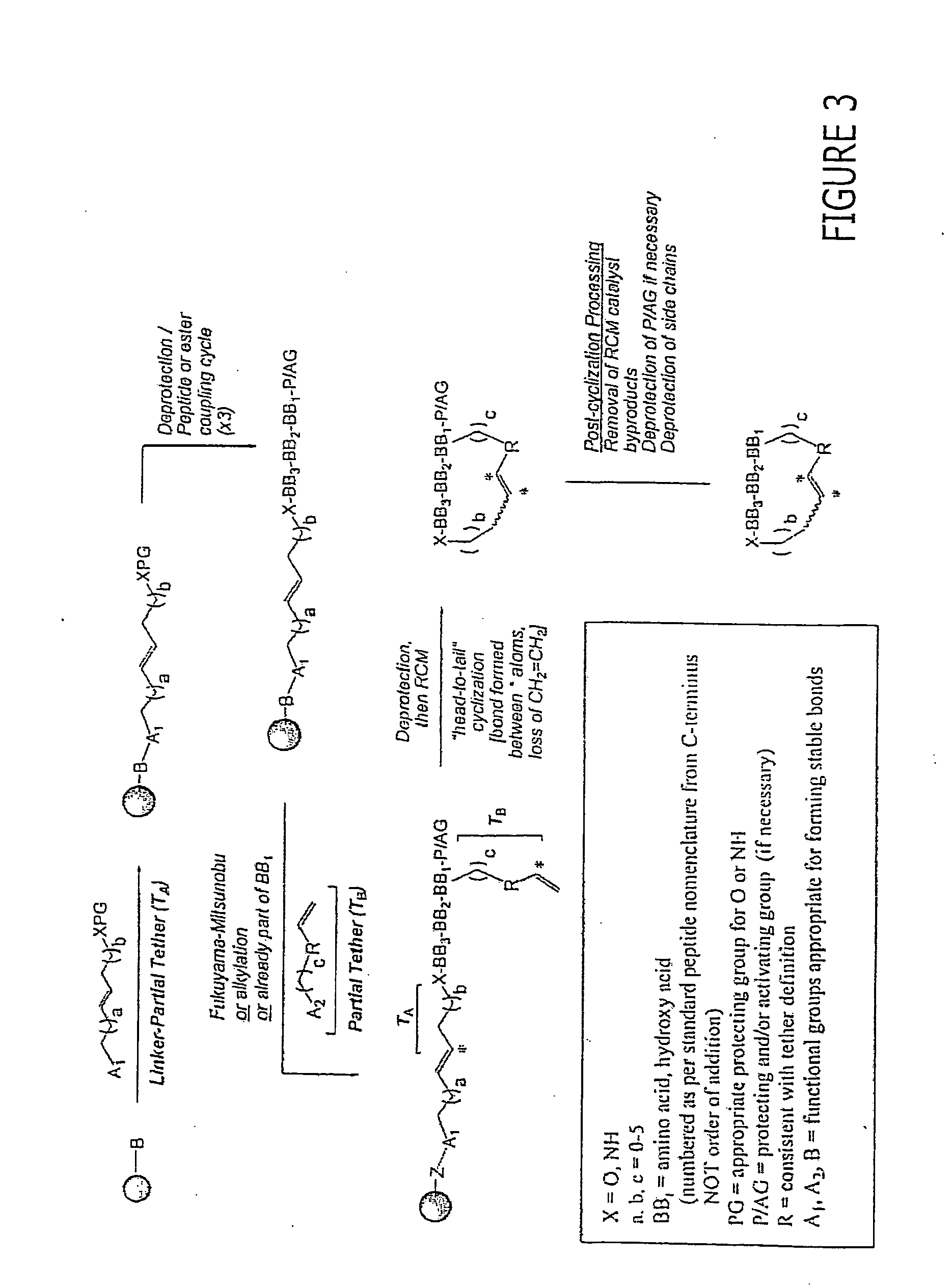 Macrocyclic modulators of the ghrelin receptor