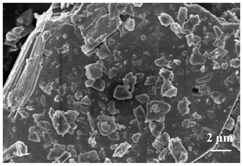 Preparation method and application of urea PDI polymer/MoS2 catalyst