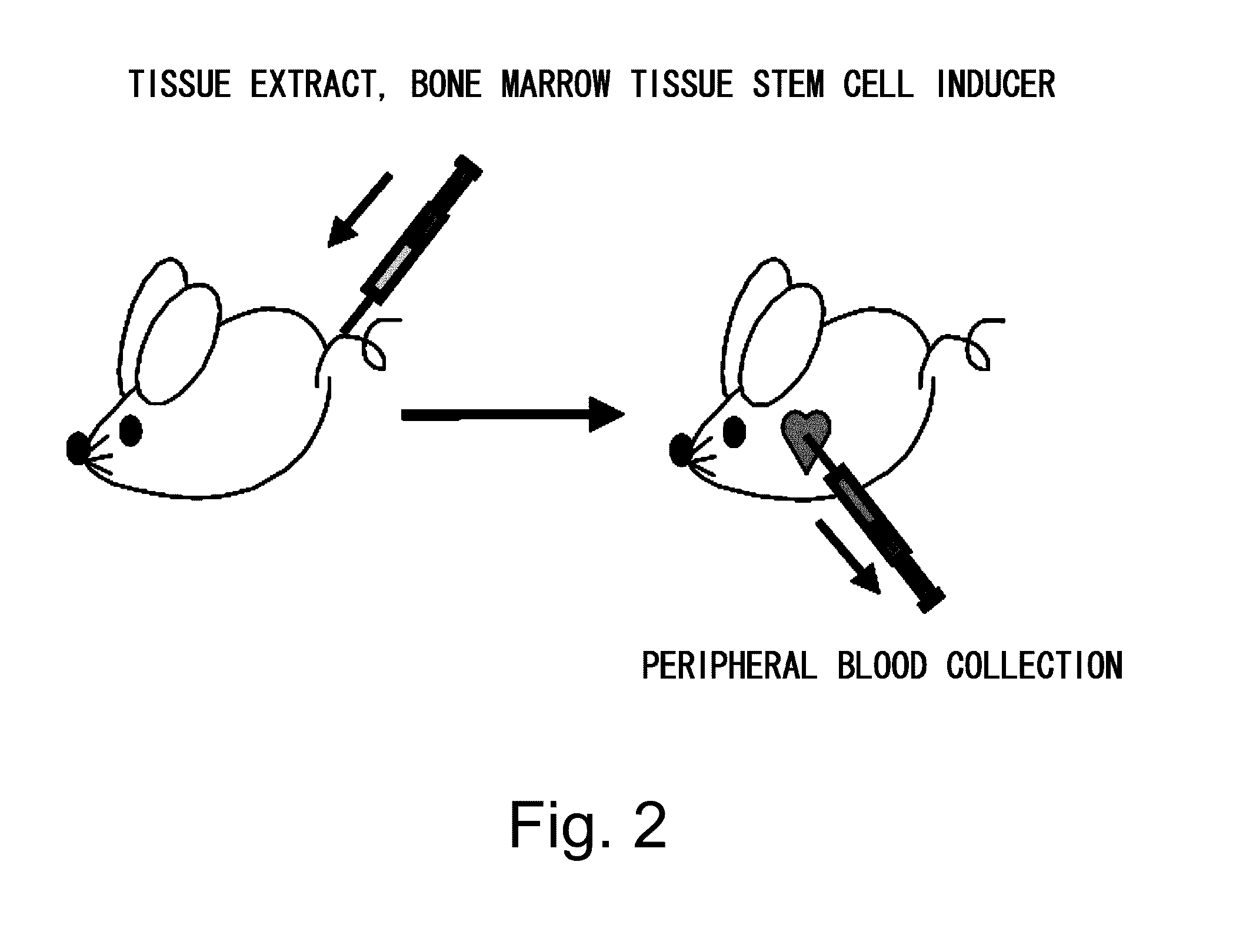 Agent for Recruitment of Bone-Marrow-Derived Pluripotent Stem Cell Into Peripheral Circulation