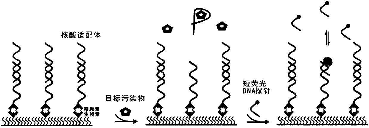 Detection method of trace amount of target based on monomolecular fluorescent sensing