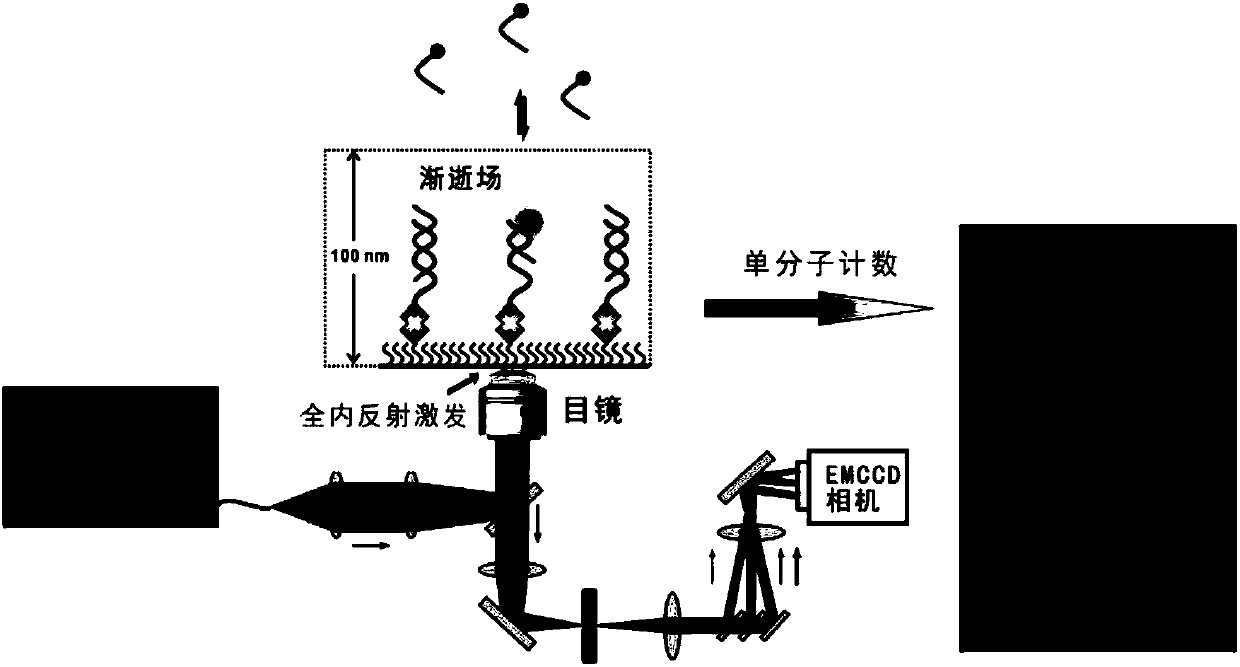 Detection method of trace amount of target based on monomolecular fluorescent sensing