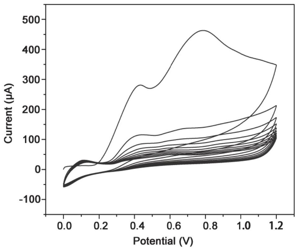 Electrochemical sensor, preparation method and application of electrochemical sensor in detection of ginsenoside Rg3