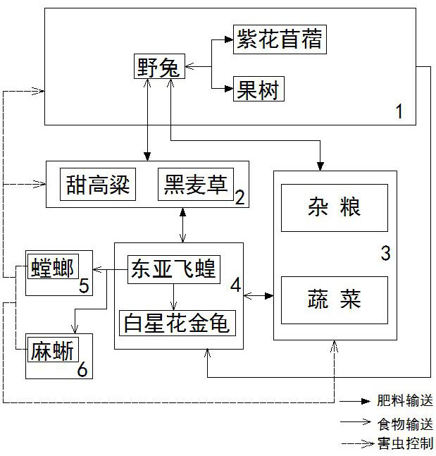 Natural cycle full ecological high-efficiency farm and natural recycling method of biological resources