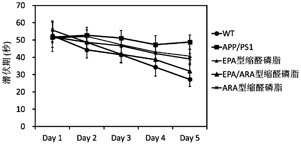 Preparation method and application of EPA/ARA type acetal phospholipid