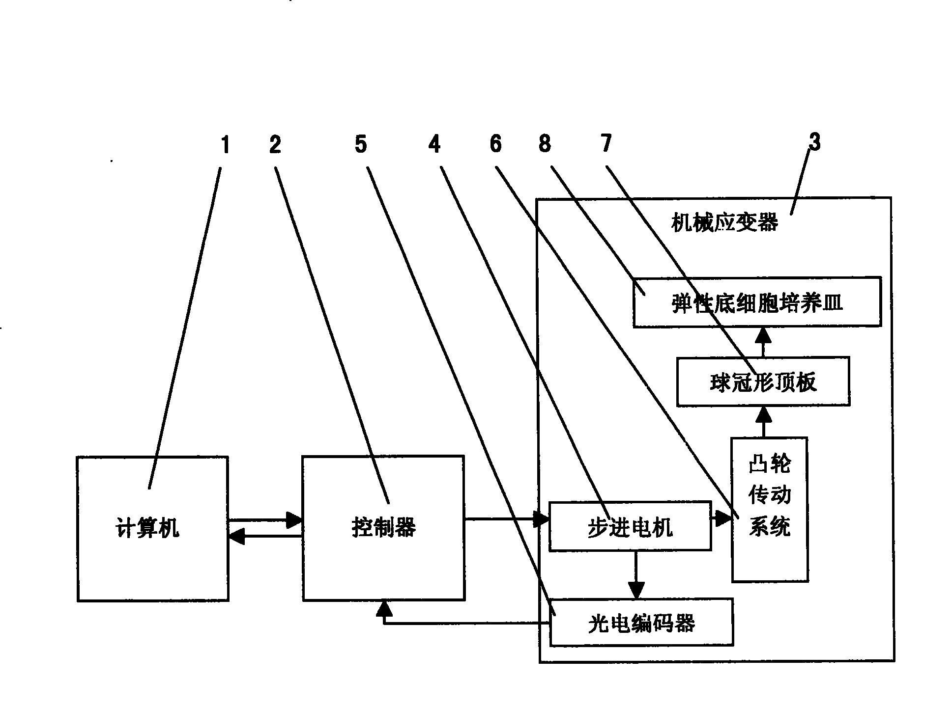 Experimental apparatus for loading cell through digital controlled mechanical strain