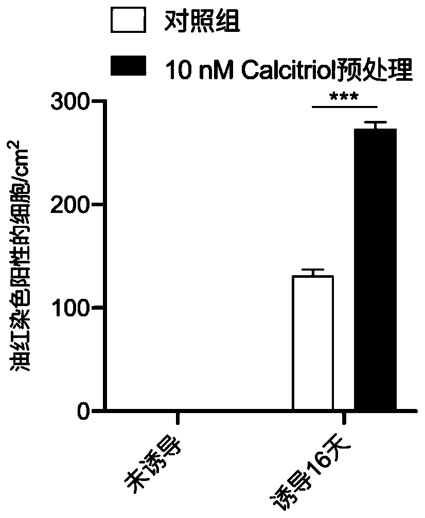 Application of vitamin D3 and analogues thereof in promoting differentiation of human skin fibroblasts into adipocytes