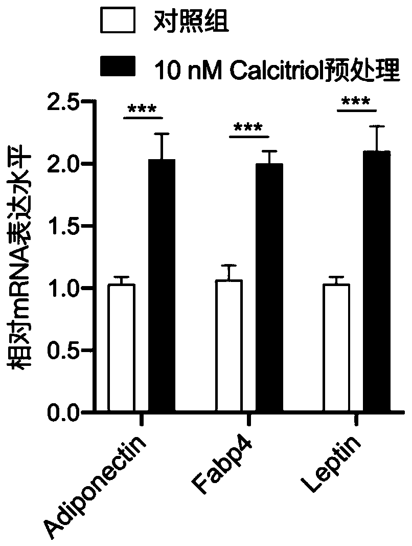 Application of vitamin D3 and analogues thereof in promoting differentiation of human skin fibroblasts into adipocytes