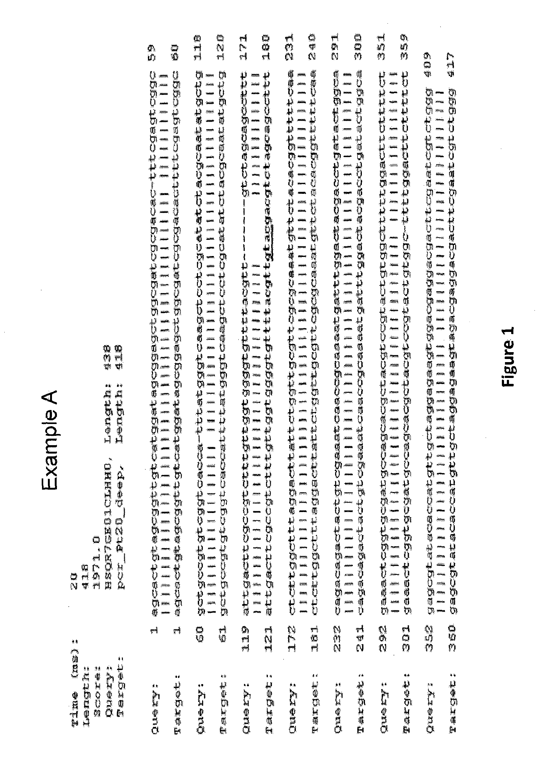 Method for targeted modification of algae genomes