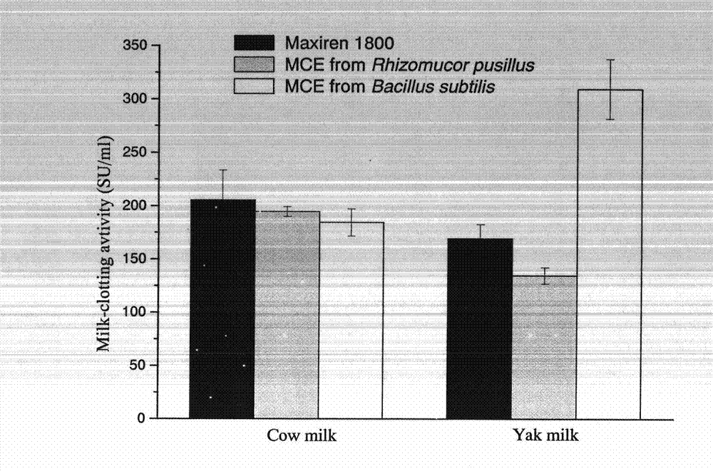 Chymosin gene, amino acid sequence for coding chymosin gene and application of chymosin gene