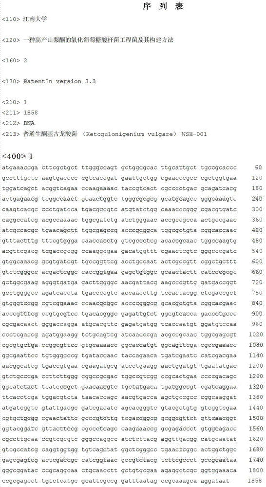 Gluconobacter oxydans engineering bacterium for producing sorbic ketone in high yield mode and construction method thereof