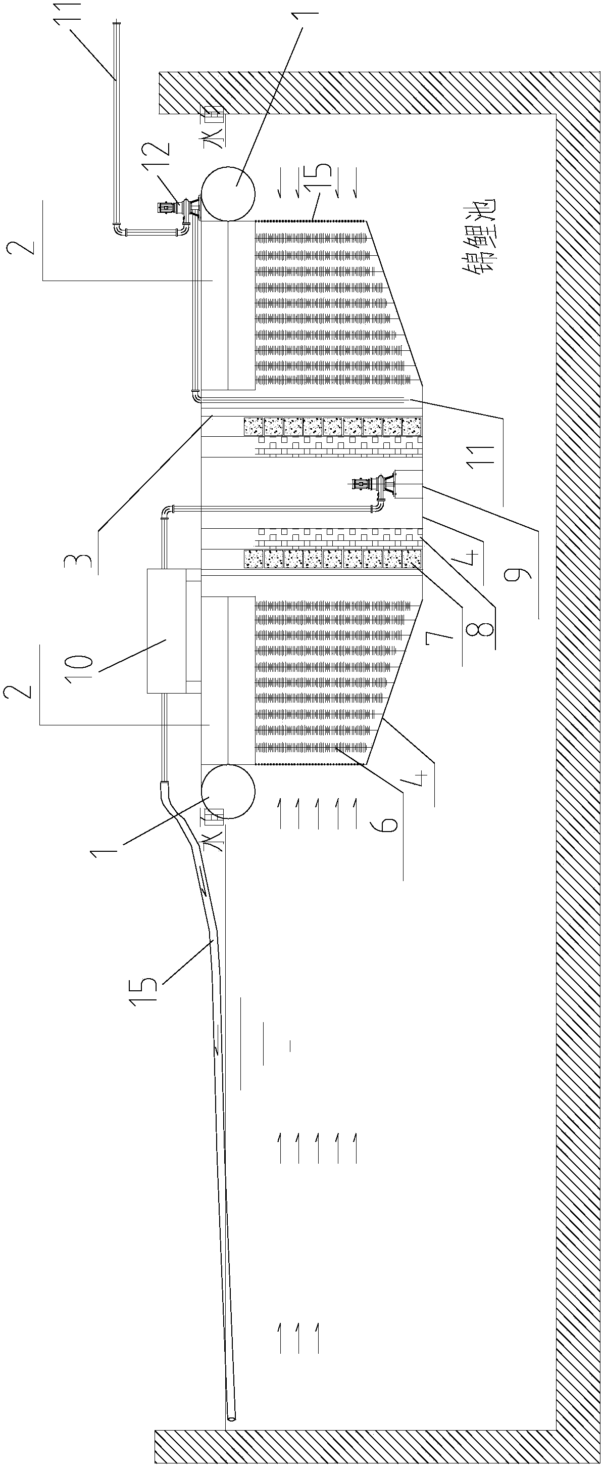 Floating fancy carp tank water purifying device