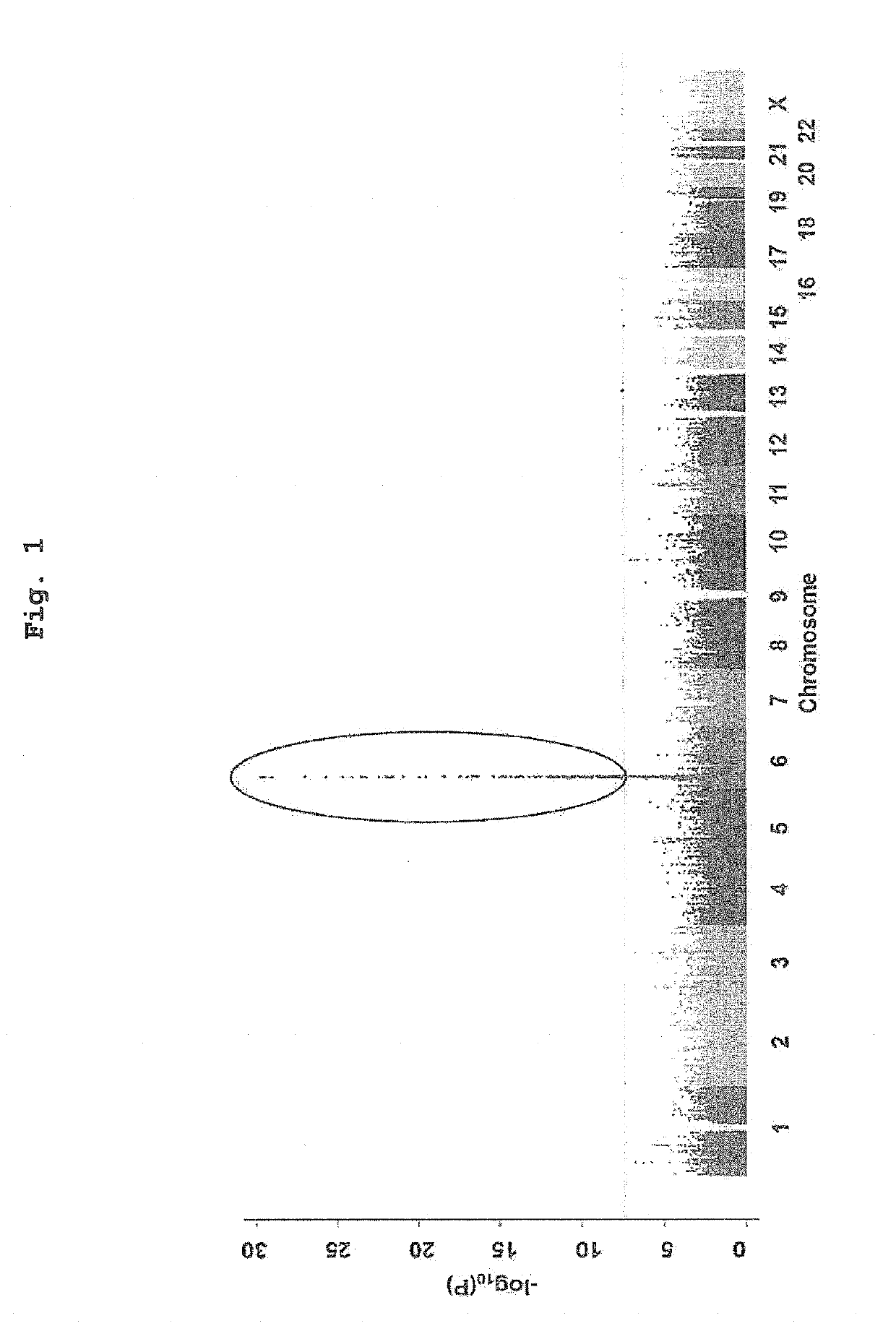 Test method for evaluating the risk of Anti-thyroid drug-induced agranulocytosis, and evaluation kit