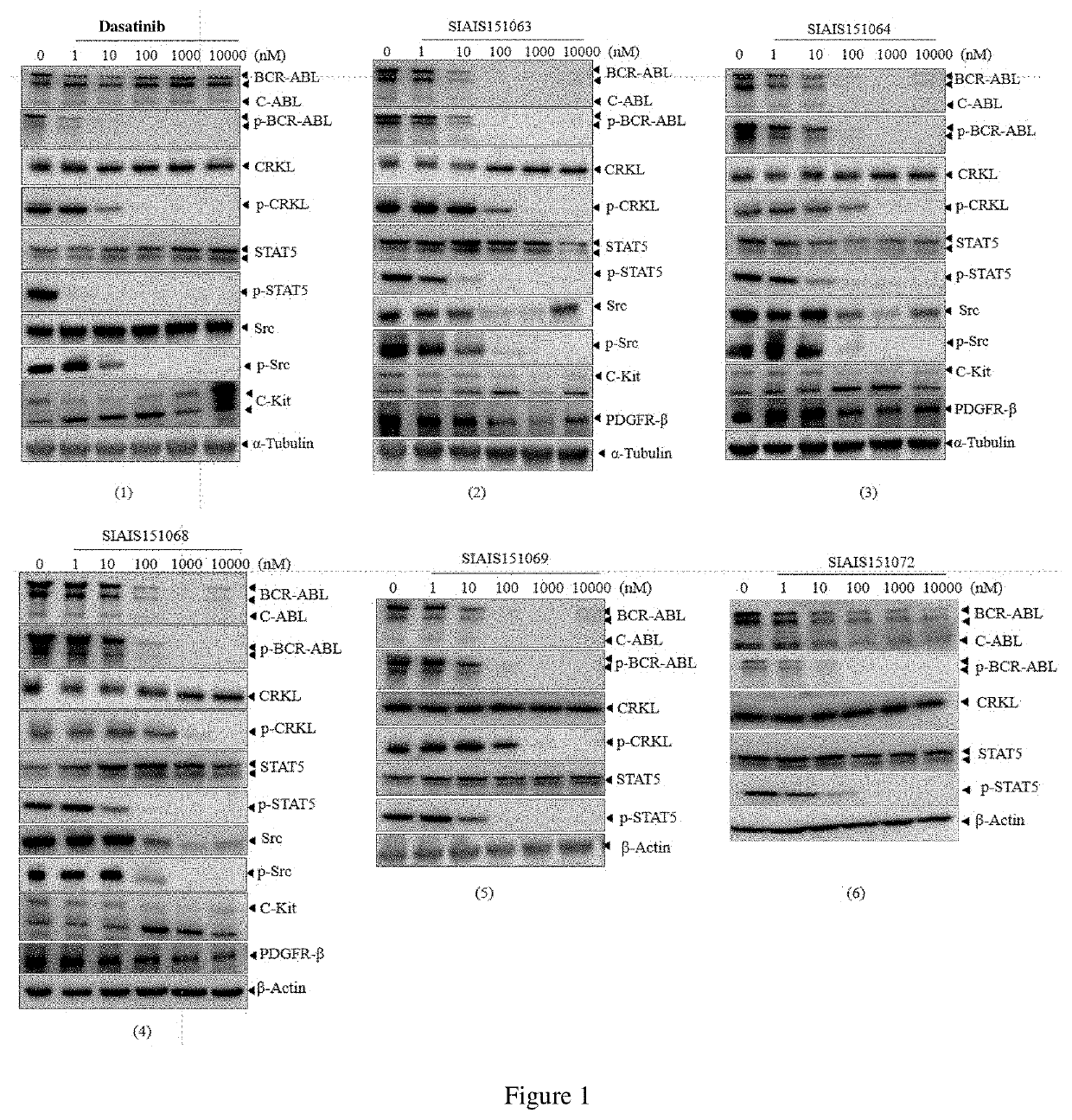 Compounds targeting and degrading bcr-abl protein and its antitumor application