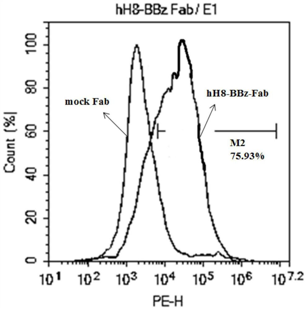 Costimulatory signal domain of chimeric antigen receptor and application thereof