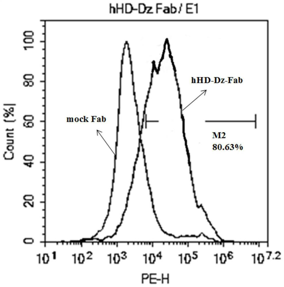 Costimulatory signal domain of chimeric antigen receptor and application thereof