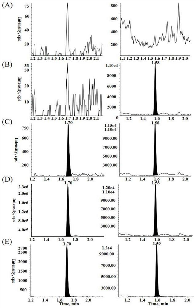 Method for determining concentration of plasma MRTX849 by high performance liquid chromatography-tandem mass spectrometry