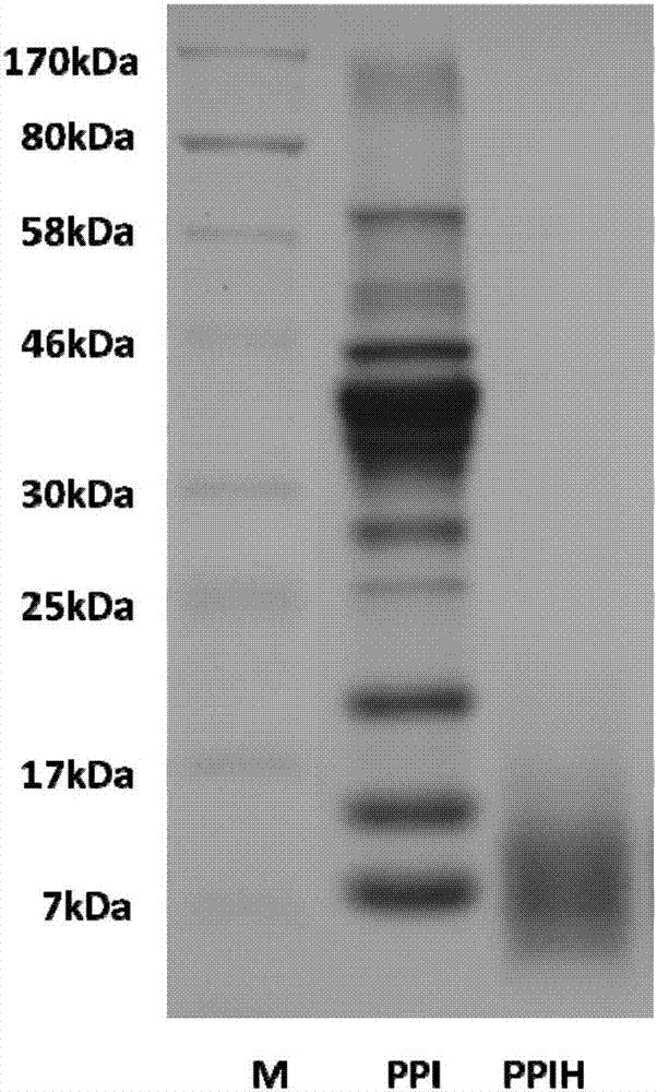 High-solubility cod protein