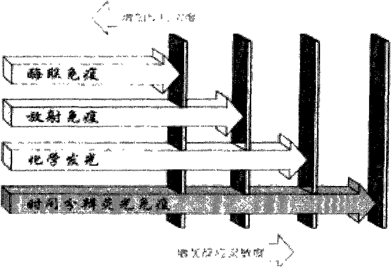 Preparation method of TSH (thyroid stimulating hormone) quantitative detection kit based on time-resolved fluoroimmunoassay