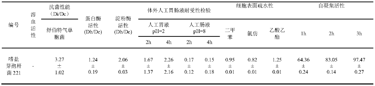 Bacillus halophilus for improving salt resistance of nile tilapia and application of bacillus halophilus