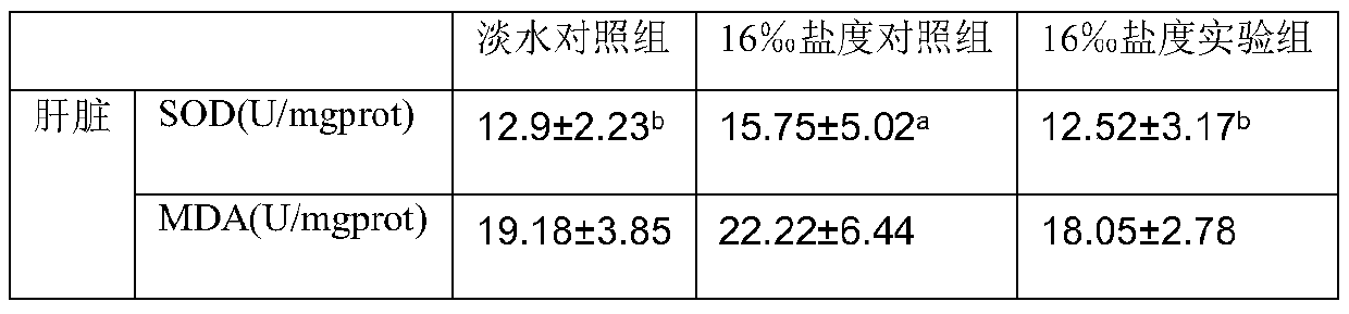 Bacillus halophilus for improving salt resistance of nile tilapia and application of bacillus halophilus