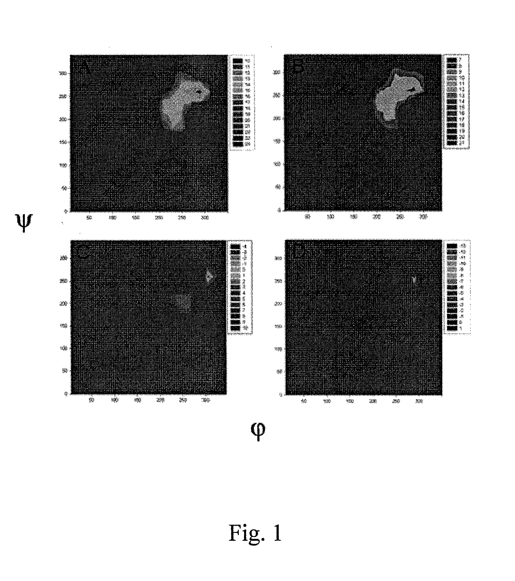 Thomsen-friedenreich disaccharide modified immunogen (TFD), preparation procedure, compositions comprising it, uses, and treatment methods