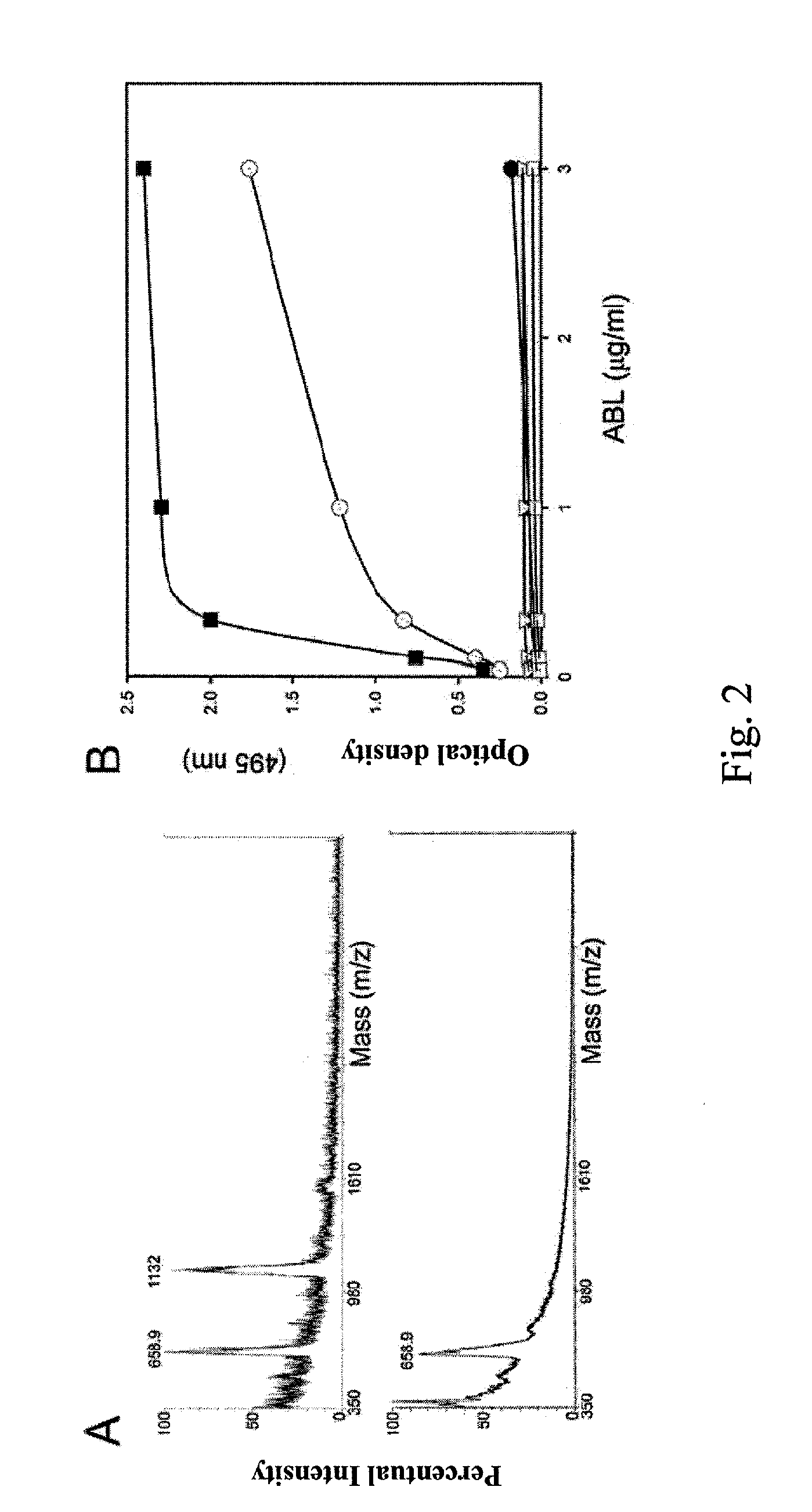 Thomsen-friedenreich disaccharide modified immunogen (TFD), preparation procedure, compositions comprising it, uses, and treatment methods