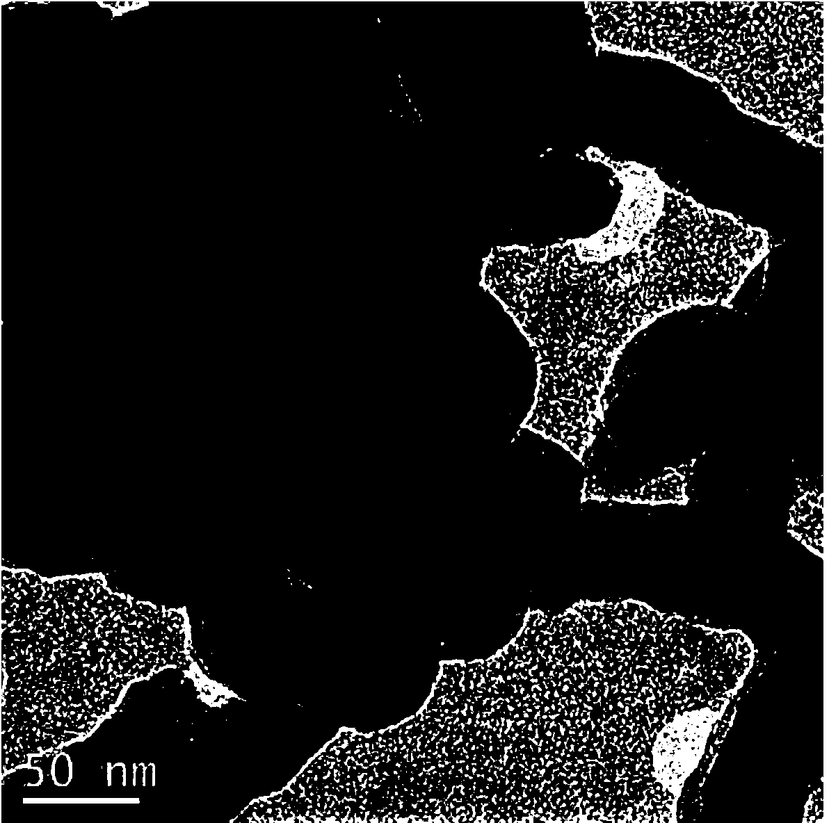 Preparation method of magnetic carbon nanotube with polydopamine-modified surface