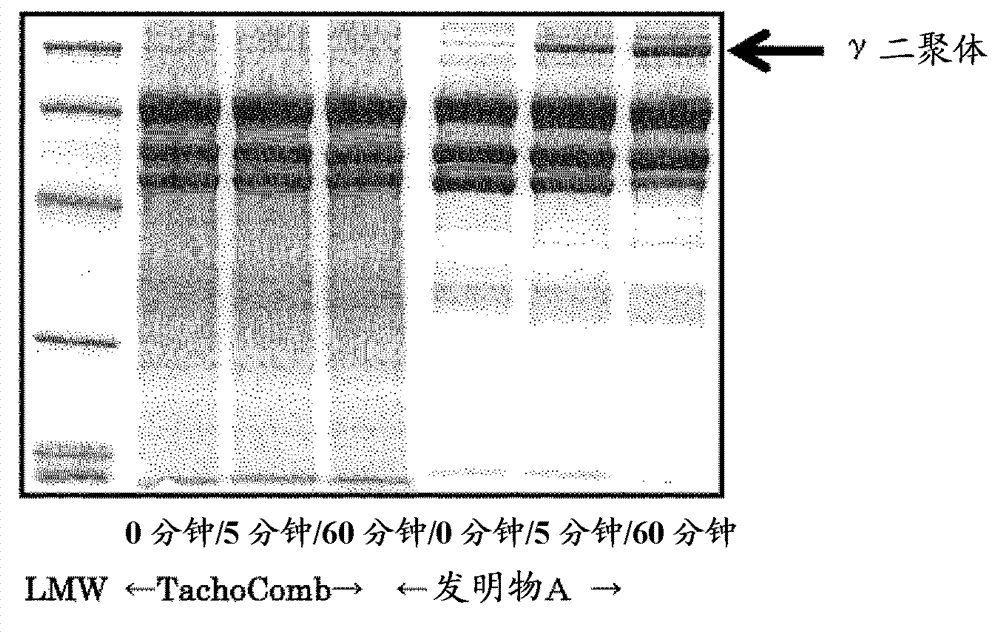 Sheet preparation for tissue adhesion