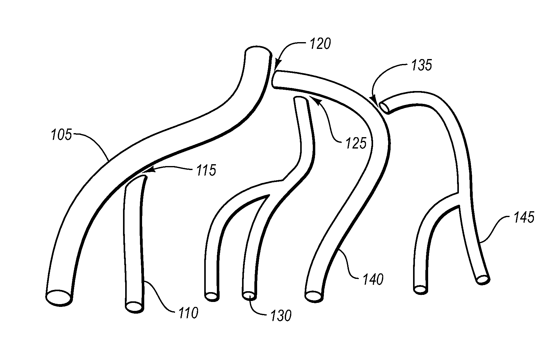 Forming vascular diseases within anatomical models