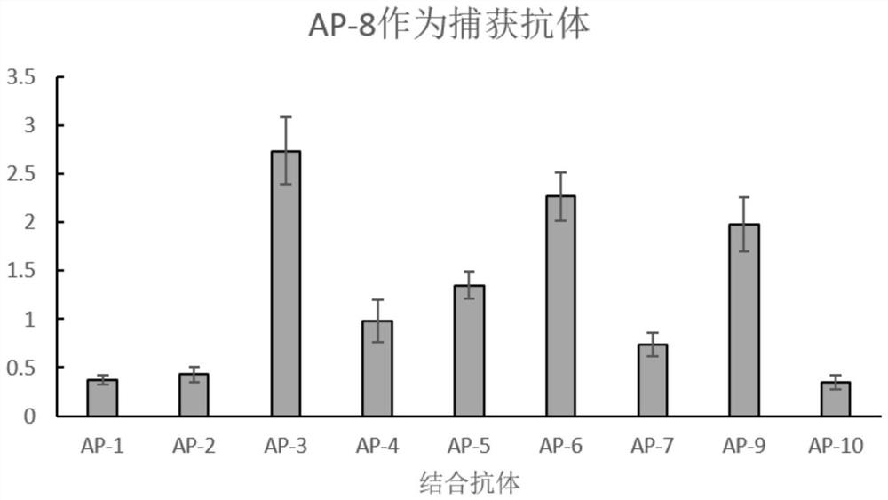 Colloidal gold test strip for detecting human parathyroid hormone