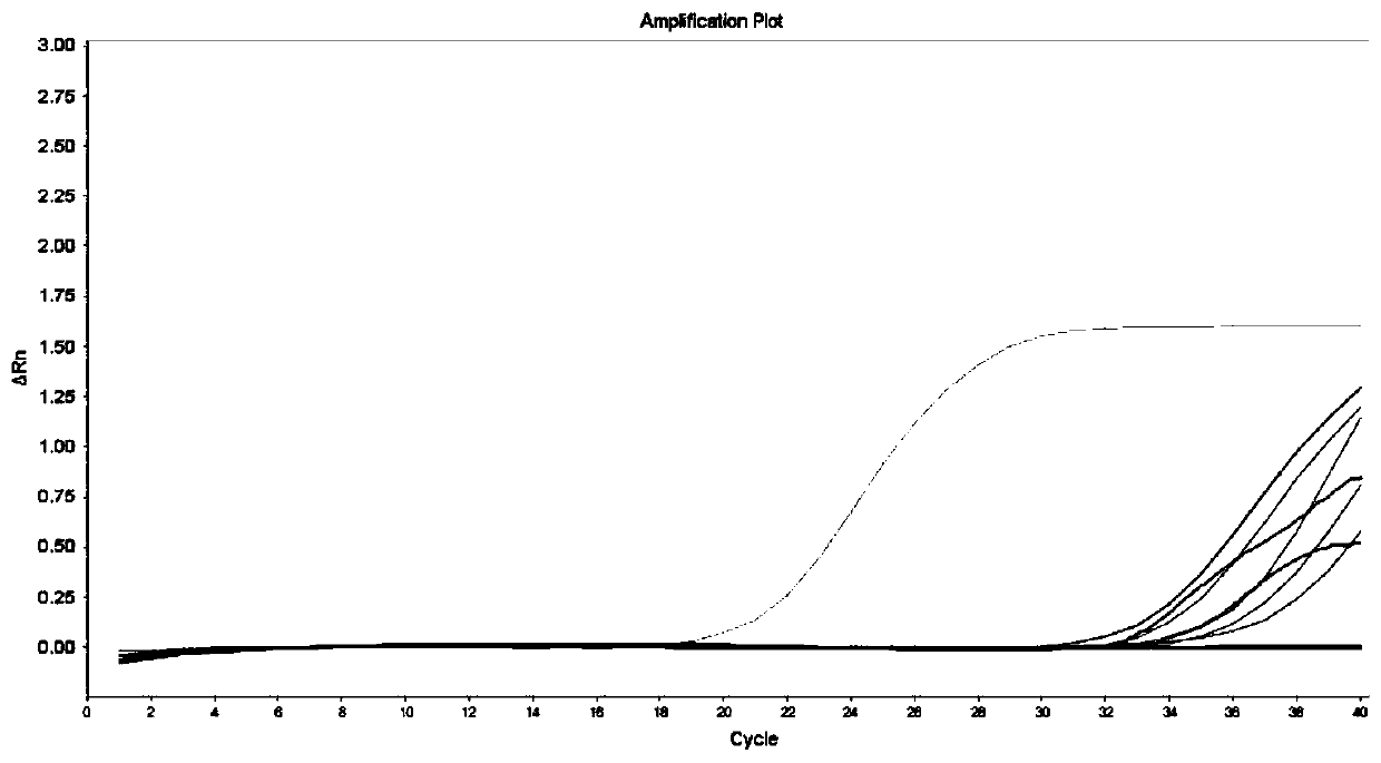 A kit and extraction method for extracting trace dna