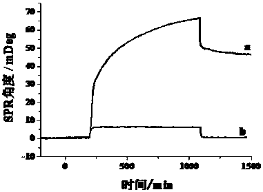 A method for the detection of protein kinases based on surface plasmon resonance