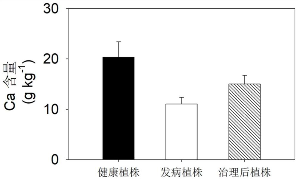 A kind of fertilization control method of Chinese torreya branch and leaf yellowing disease