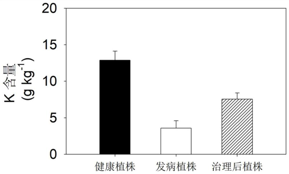 A kind of fertilization control method of Chinese torreya branch and leaf yellowing disease