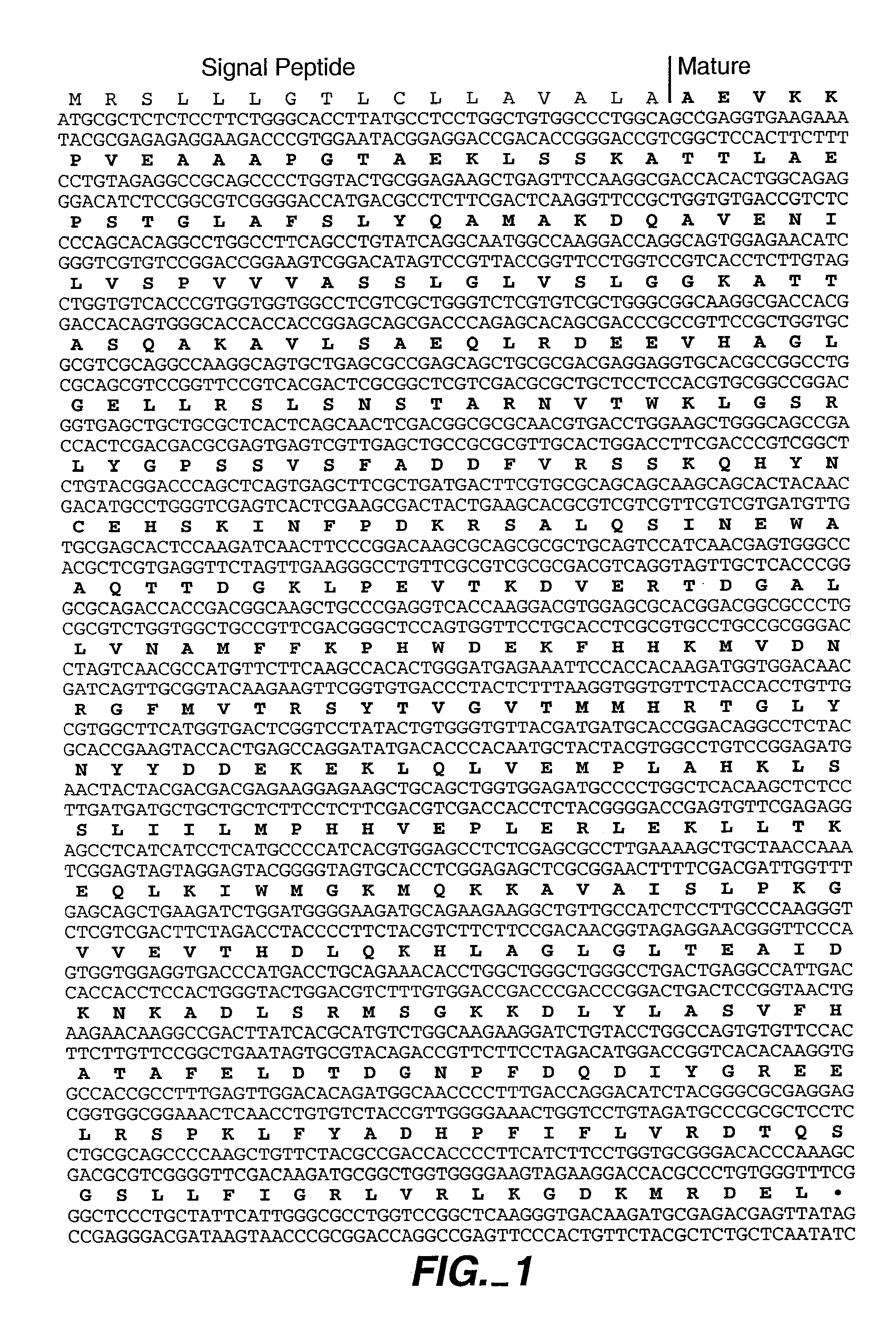 Compositions and methods for protecting organs, tissue and cells from immune system-mediated damage