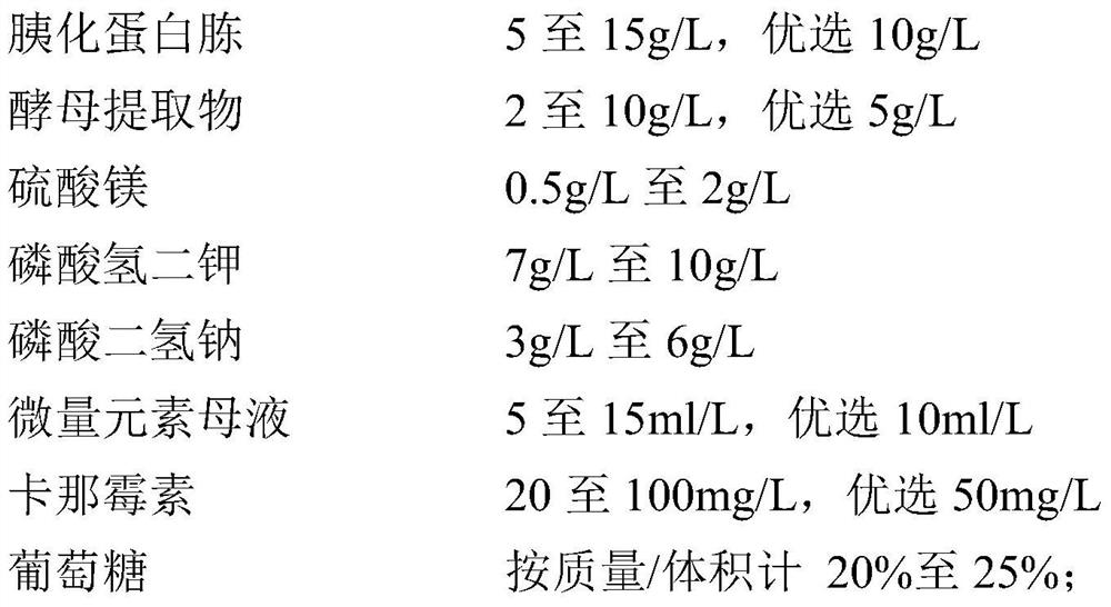 S-adenosylmethionine synthetase preparation, its preparation method and use