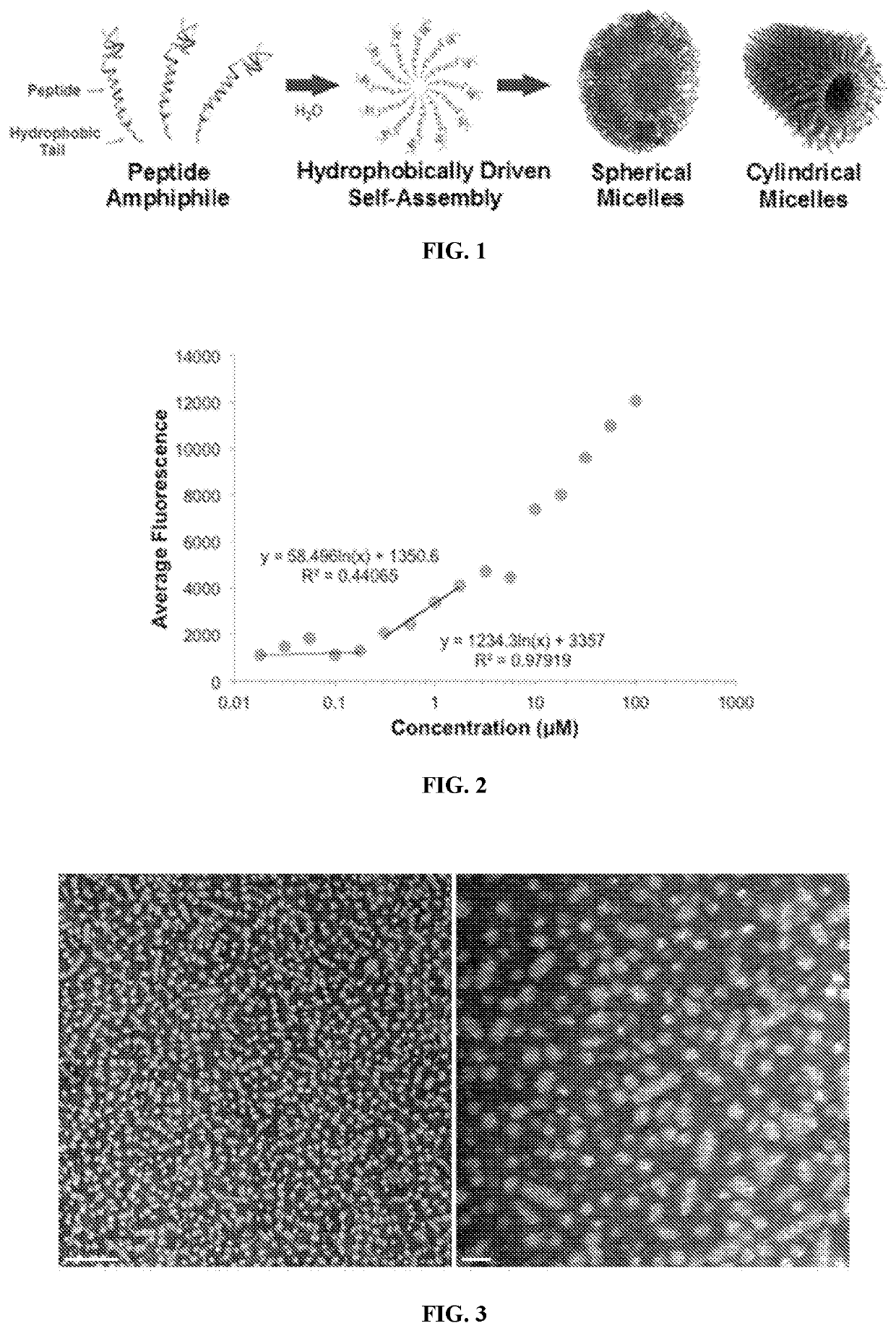 POSH inhibitor complex biomolecules and amphiphile micelles