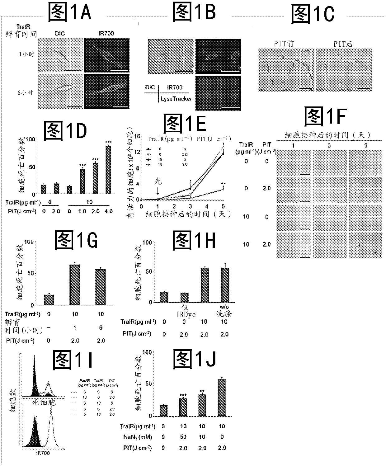 Photosensitizing antibody-fluorophore conjugates