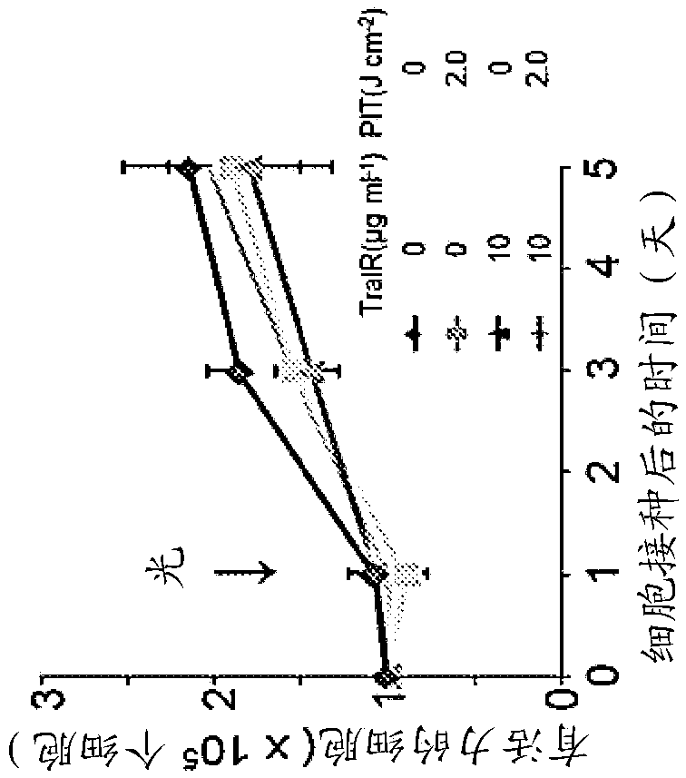 Photosensitizing antibody-fluorophore conjugates