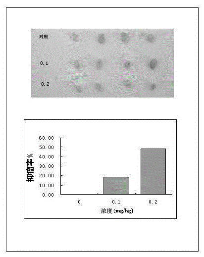 Application of cucurbitacin b and its analogues in the preparation of medicines for treating endometrial cancer