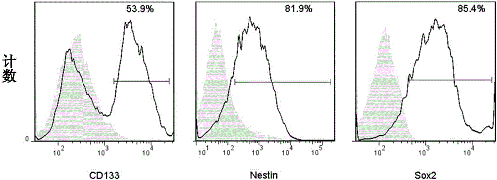 Method for preparing antigen composition capable of targeting glioma cells and glioma stem cells, and vaccine containing the antigen composition