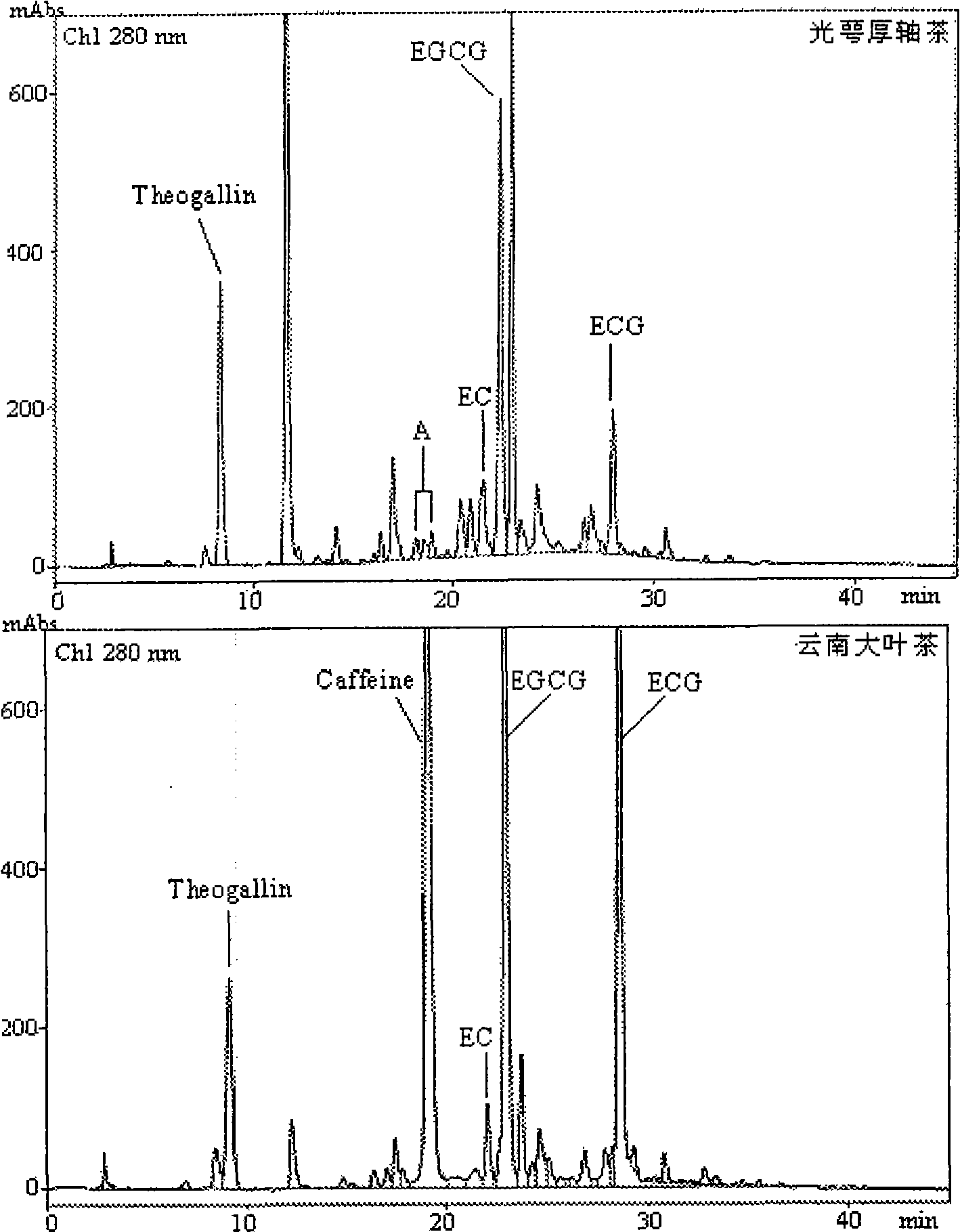 Tea leaf and manufacturing method and applications thereof