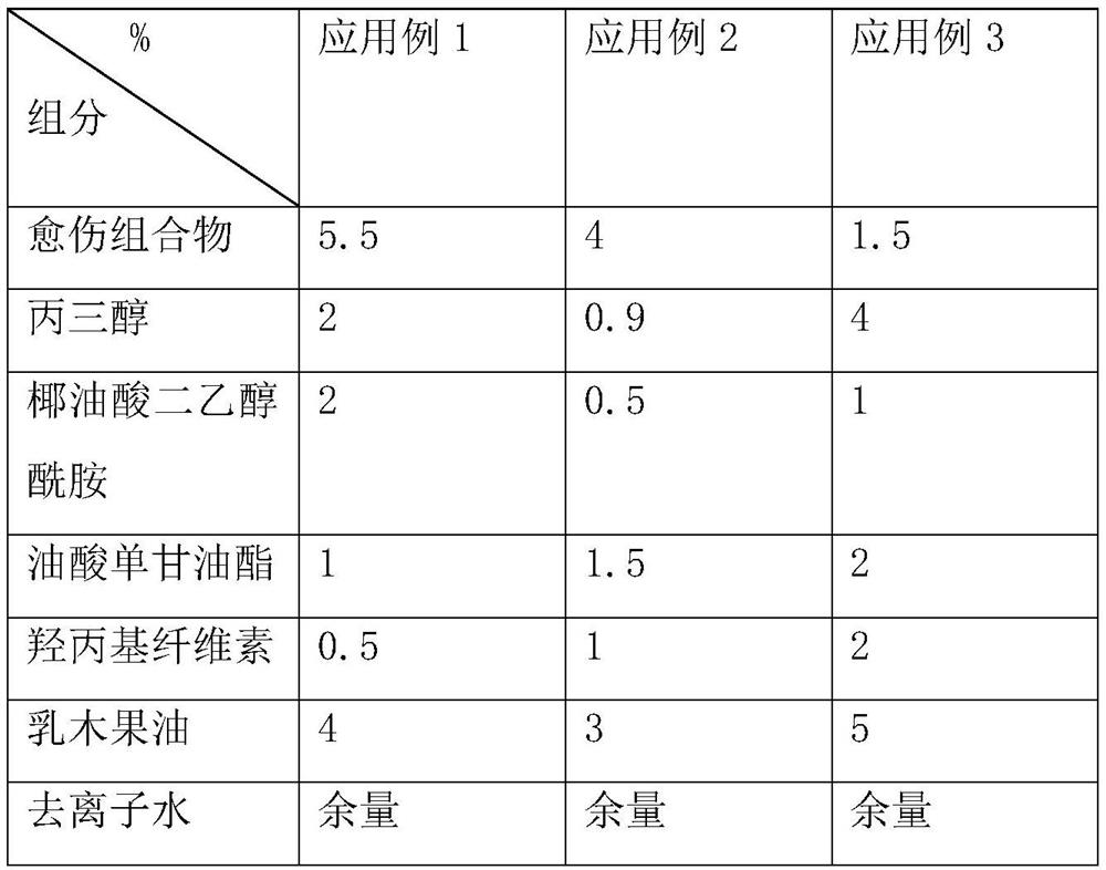 Composition with healing effect as well as preparation method and application thereof