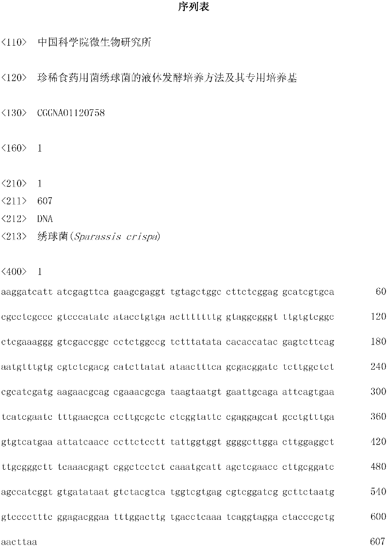 Culture method for liquid fermentation of rare edible-medicinal fungus Sparassis crispa and special medium thereof