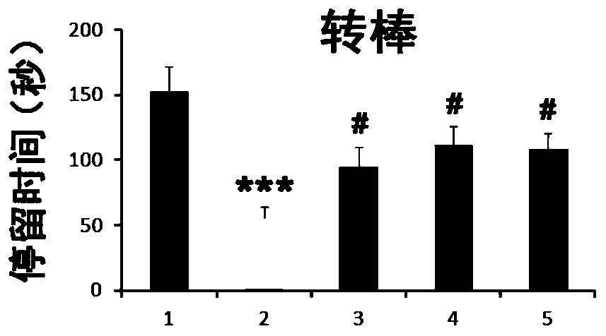 Preparation method of adult stem cell exosome and application thereof to treatment of Parkinson's disease