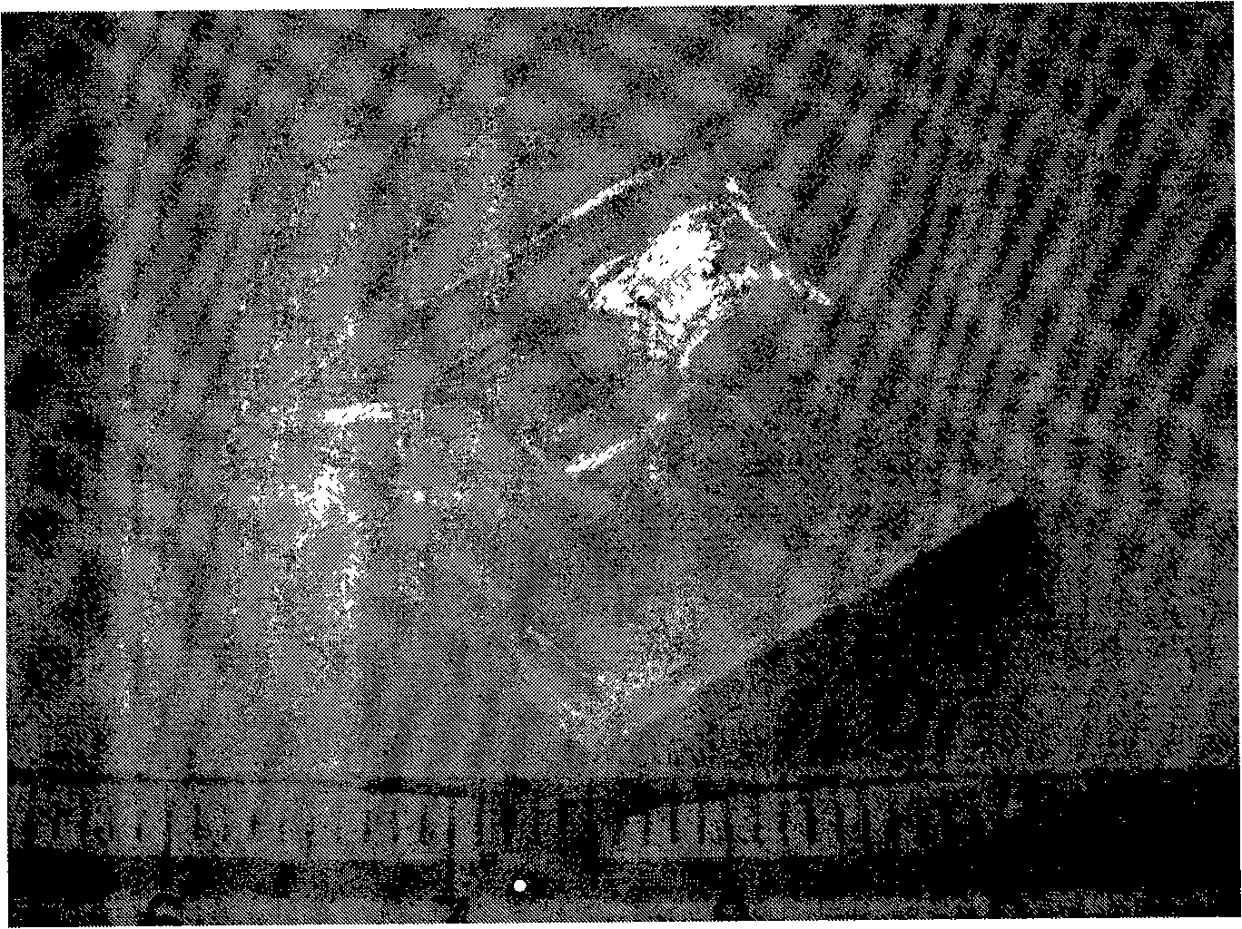 Large size vanadium sodium borate nonlinear optical crystal, and preparation and use thereof