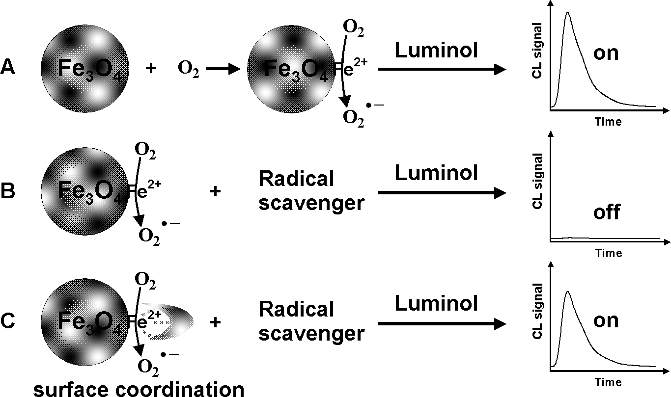 Chemical luminescence enhanced type method for detecting pesticide residues