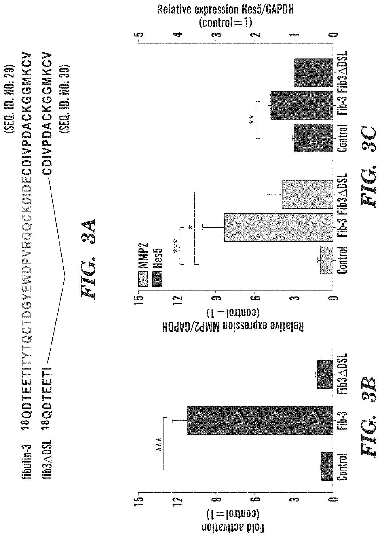 Anti-fibulin-3 antibodies and uses thereof