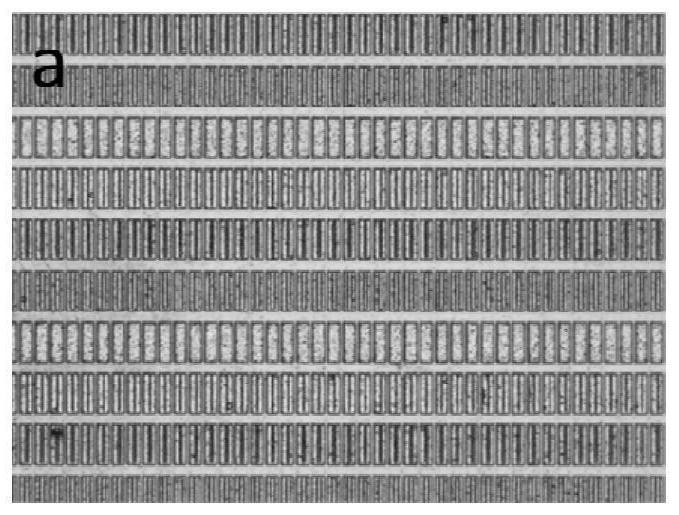 Cyanide-free gold electroplating solution and application thereof, method for electroplating gold bump, gold bump and electronic component